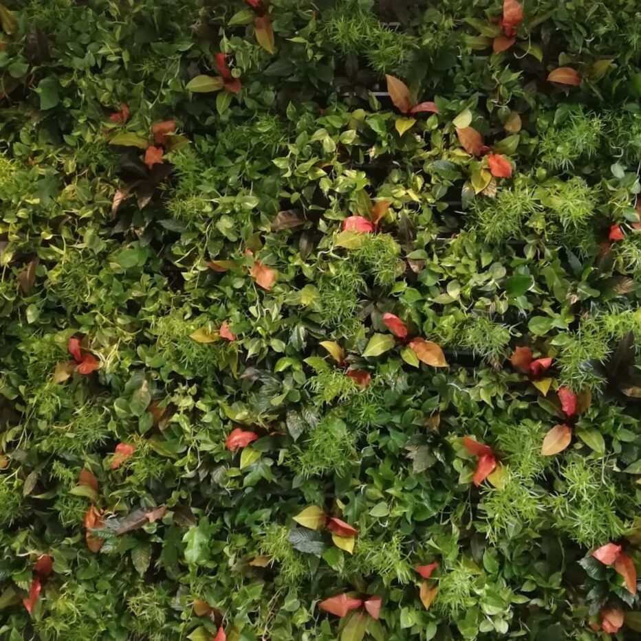 Sfeerbeeld Plantrent Group