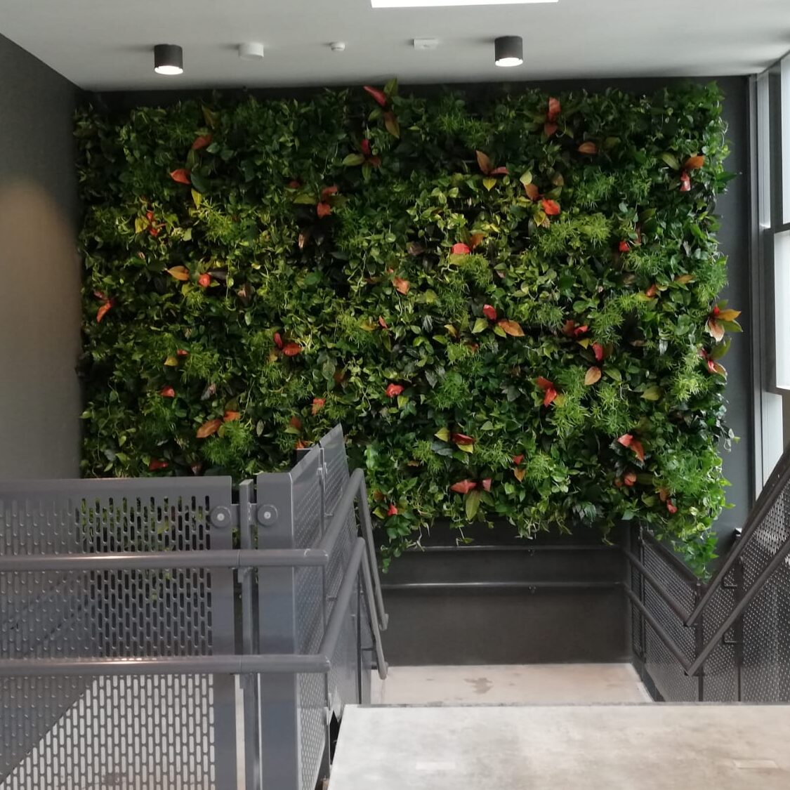 Sfeerbeeld Plantrent Group